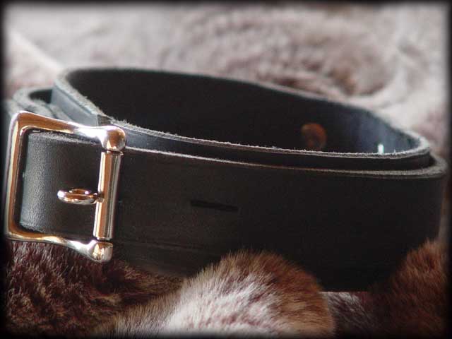 locking leather collar
